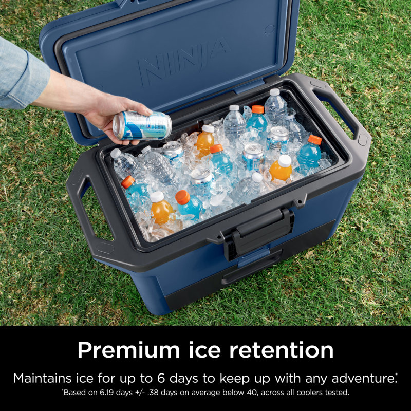 Ninja Frostvault 50qt Hard Cooler With Dry Zone & Reviews | Wayfair